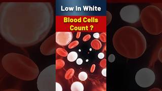 Leukopenia Low White Blood Cell Count Essential Symptoms And Causes To Know Before Its Too Late [upl. by Toole]