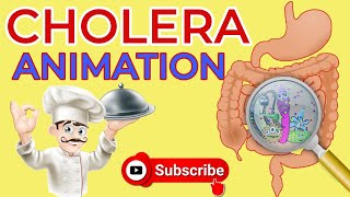 What is cholera  Causes Signs and Symptoms Diagnosis  Treatment  cholera animation  diarrhea [upl. by Ariel]