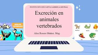 La excreción en animales vertebrados [upl. by Jacki]