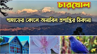 Charkhole Offbeat Destination in Kalimpong Offbeat Places in North Bengal Window View Homestay [upl. by Eiryt]