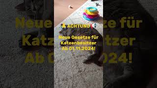 ⚠️Achtung Neue Gesetze für Katzenhalter ab 0111⚠️ [upl. by Paulita966]