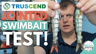 Truscend Jointed Swimbait Review [upl. by Menard881]