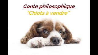 Conte philosophique  chiots à vendre [upl. by Lemuel198]