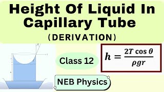 NEB Physics Class 12  Height of Liquid in Capillary Tube [upl. by Ifen]