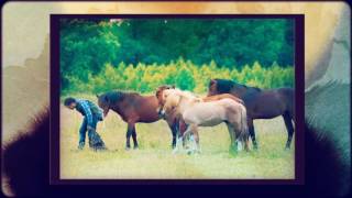 Equus Lost Book Trailer [upl. by Eedebez524]