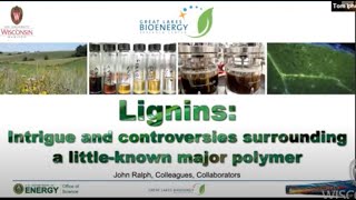 quotLignins Intrigue and Controversies Surrounding a LittleKnown Major Polymerquot John Ralph 111721 [upl. by Simonne284]