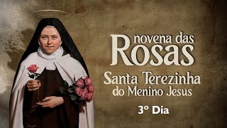 3º Dia  Novena das Rosas  Santa Teresinha do Menino Jesus [upl. by Anitram]