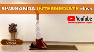 Sivananda Yoga Class  60 min session  Intermediate variations [upl. by Nylikcaj]