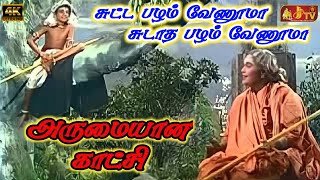 Sutta Pazham Sudatha Pazham Super Scene JJTVPollachi [upl. by Dde756]