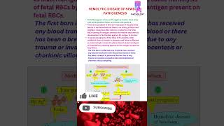 Haemolytic Disease Of Newborn 👶 hdn newborn rh abo bloodtest pathogenesis mbbs neetpg lab [upl. by Ameekahs]