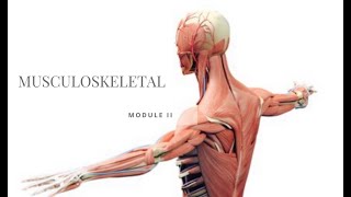 USUHS Module II Musculoskeletal Review and much more [upl. by Idell]