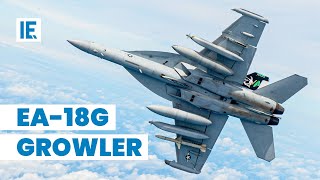 What Makes the EA18G Growler the King of Electronic Warfare [upl. by Ferdinand]