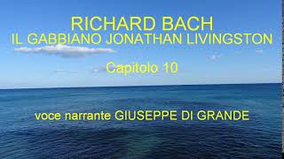 Richard Bach  Il Gabbiano Jonathan Livingston  Capitolo 10 Audiolibro [upl. by Joseito]