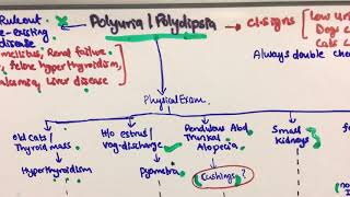 Polyuria Polydipsia Diagnostic algorithm [upl. by Cristin224]