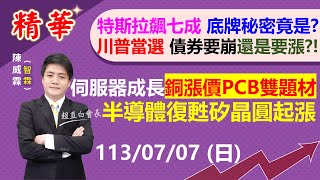 【精華20240707】川普當選 債券要崩還是要漲特斯拉軋空飆七成 底牌秘密竟然是伺服器成長銅漲價 PCB雙題材，半導體復甦矽晶圓起漲  陳智霖分析師  超直白會長  債券ETF川普 [upl. by Esch]