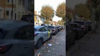 Walking on Halley Rd East Ham London Subscribe this channel for daily activities in Londontravel [upl. by Anertac]