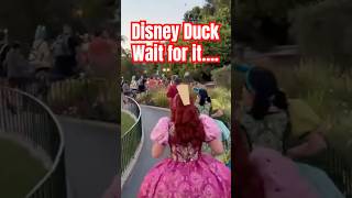 Disney Duck takes Out Evil Stepsisters Disney Princess Character disneyland disneyprincess shorts [upl. by Imiaj]