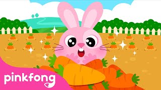 Funny fluffy fuzzy Bunnies  The Bunny Song  Farm Animals Songs  Pinkfong Songs [upl. by Elleon]