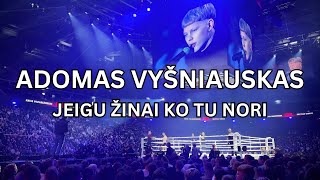 Adomas Vyšniauskas  Jeigu Žinai Ko Tu Nori Official Audio [upl. by Hekking314]