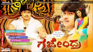 Gajendra Kannada Movie Songs  Full Songs Juke Box  Vinod PrabhakarDaisy Shah [upl. by Nesyaj]