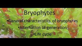 General Characteristics of Bryophytes  ALL ABOUT BIOLOGY  BY JYOTI VERMA [upl. by Lynnett]