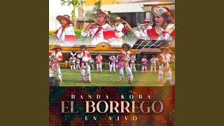 El Borrego En Vivo [upl. by Naomi]