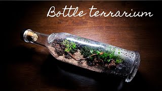 Making a bottle terrarium  How to build a terrarium in a upcycled bottle with DIY tools [upl. by Ruffi586]