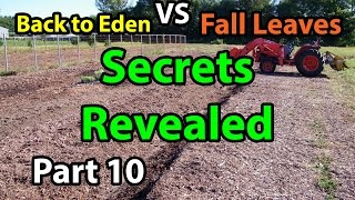 Back to Eden Organic Gardening 101 Method with Wood Chips  Leaves Composting G Series  10 [upl. by Nore]