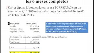 Ley 30334 – 10 Casos Prácticos de Gratificación [upl. by Bar]