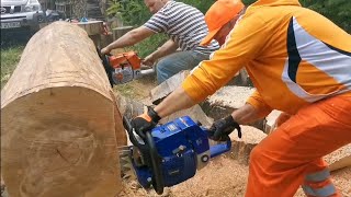 Battle of The Titans Holzfforma G 888 amp Husqvarna 3120 amp Stihl 881 [upl. by Noyahs]