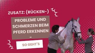 Zusatz Rücken Probleme und Schmerzen beim Pferd erkennen  so geht´s [upl. by Mcgraw]