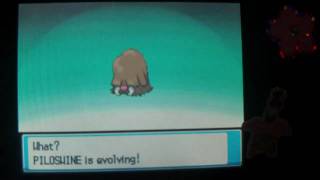 How to Evolve Piloswine into Mamoswine  Pokemon Heart Gold and Soul Silver [upl. by Airlee519]