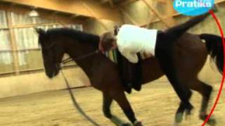 Equestrian Vaulting  How to do a vaulton at a canter [upl. by Mulcahy331]