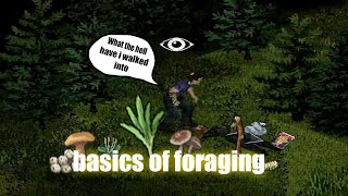 Quick guide to the very basics of foraging [upl. by Ancel345]