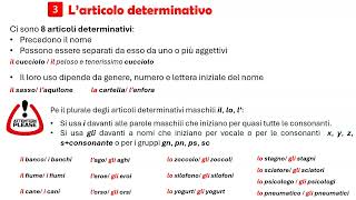 8 Morfologia Larticolo [upl. by Remde701]