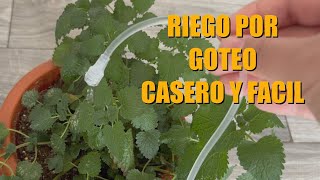 RIEGO por GOTEO casero FÁCIL para MACETAS  Sin electricidad grifo o bomba [upl. by Carlock]