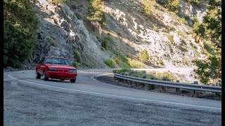 1991 Ford Mustang LX 50 Overview [upl. by Einnahpets]