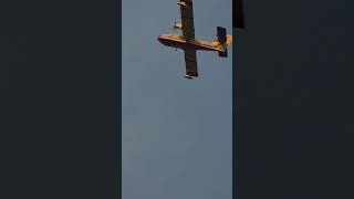 Canadair Water Bomber Plane In France [upl. by Odysseus847]