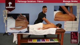 Awesome Massage Petrissage Variations Kneading Vizniak [upl. by Behka877]