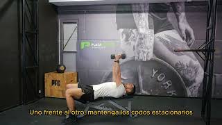 Dumbbell Skull Crusher  Guide amp Tutorial  HampA Coaching  Spanish Subtitles [upl. by Nickola452]