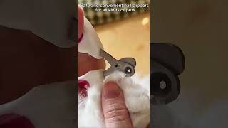 How to Safely Trim Your Dogs Nails with Our Stainless Steel Pet Nail Clippers [upl. by Yenor534]