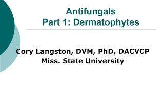 Antifungal Therapy in Veterinary Medicine Part 1 Dermatophytes [upl. by Emlen187]