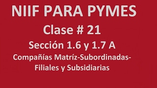 649 Sección 16 y 17 parte A Compañías MatrizSubordinadasFiliales y Subsidiarias [upl. by Atirehgram]