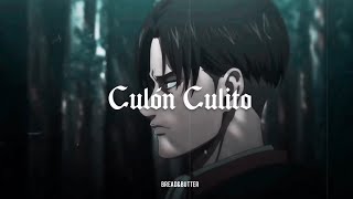 Culon Culito  Cartel de Santa letra┊Levi vs Zeke AMV [upl. by Crandell843]