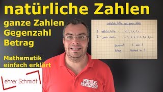 natürliche Zahlen amp ganze Zahlen  Mathematik  einfach erklärt  Lehrerschmidt [upl. by Nnylylloh]