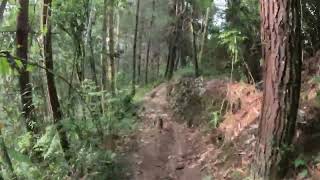 ebike giant advance x  Narnia Manizales [upl. by Eioj]