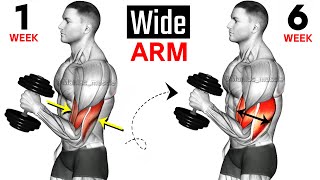 Full Arms Exercises with Dumbbells  Biceps and Triceps  🦾🦾 [upl. by Iaht]