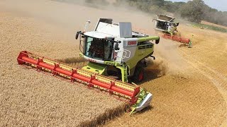 Claas Combine Lexion Harvester  Harvest 2024  Norfolk  Drone Footage [upl. by Nobile768]