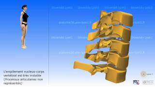La colonne cervicale [upl. by Breen888]