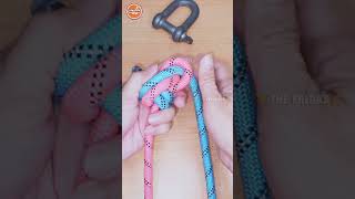 Knots rope tip diy idea for you diy viral shorts ep1798 [upl. by Kesia]